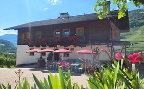 Martscholer Weinhof